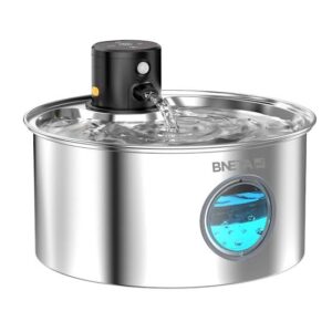 Home water fountain